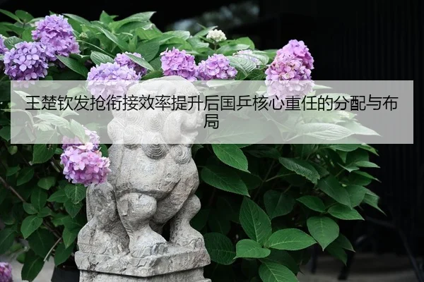 王楚钦发抢衔接效率提升后国乒核心重任的分配与布局